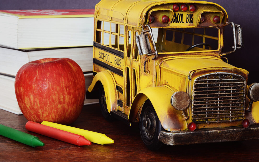 Autokar i autobus szkolny: pasy, najbezpieczniejsze miejsca, rola opiekuna i organizatora wycieczki